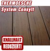 Holzterrasse Thermoesche System CONSYLT