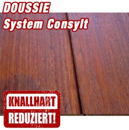 Holzterrasse Doussie System CONSYLT