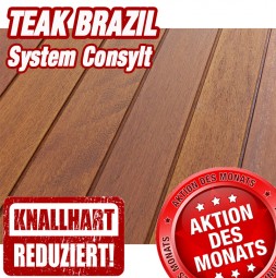 TEAK BRAZIL System CONSYLT