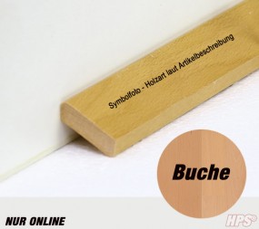 Schweizerleiste Buche roh Bund 24lfm